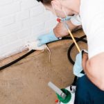 Sydney Pest Control: The Importance of Regular Pest Inspections for Businesses